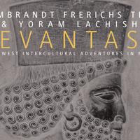 Yoram Lachish