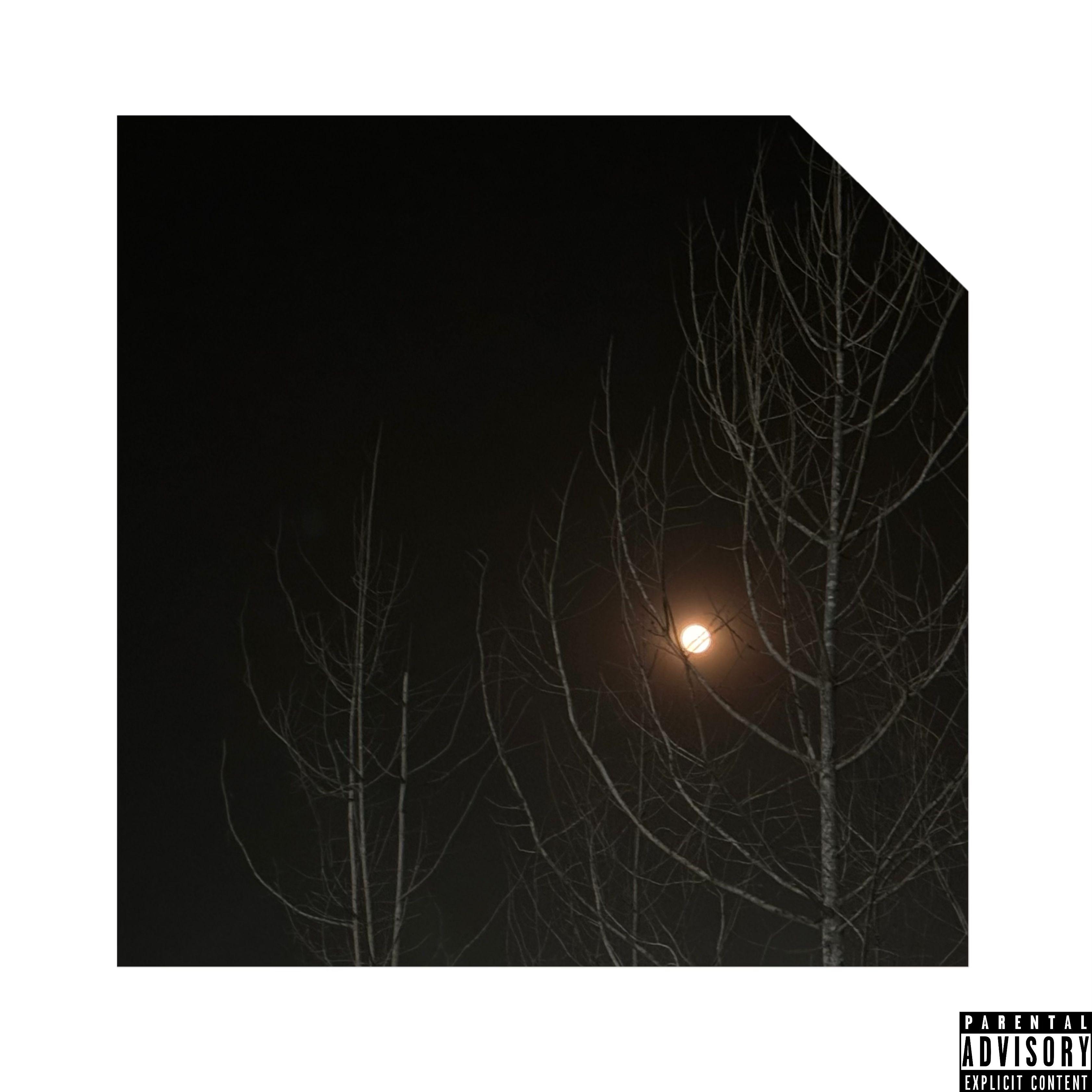 剧终（feat.sosaLoyalty）封面