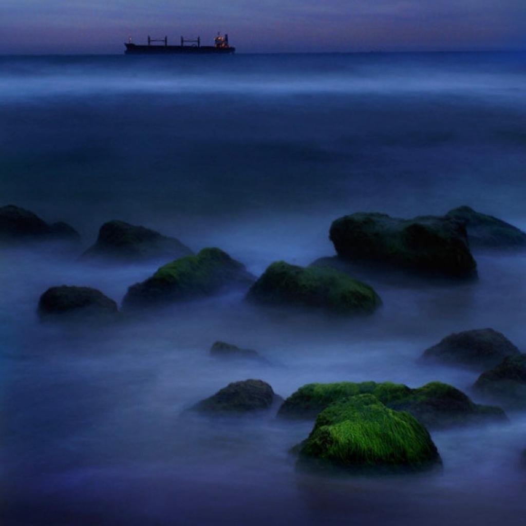 61 - 21    Dvořák String Quartet 12 F 