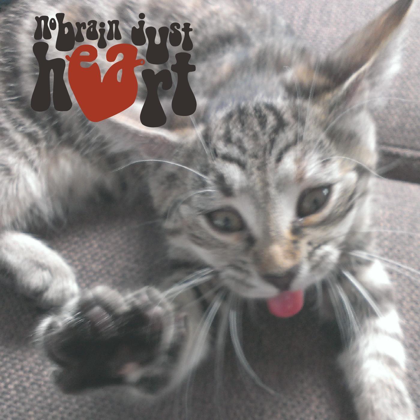 No Brain Just Heart