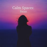 Calm Spaces: Focus