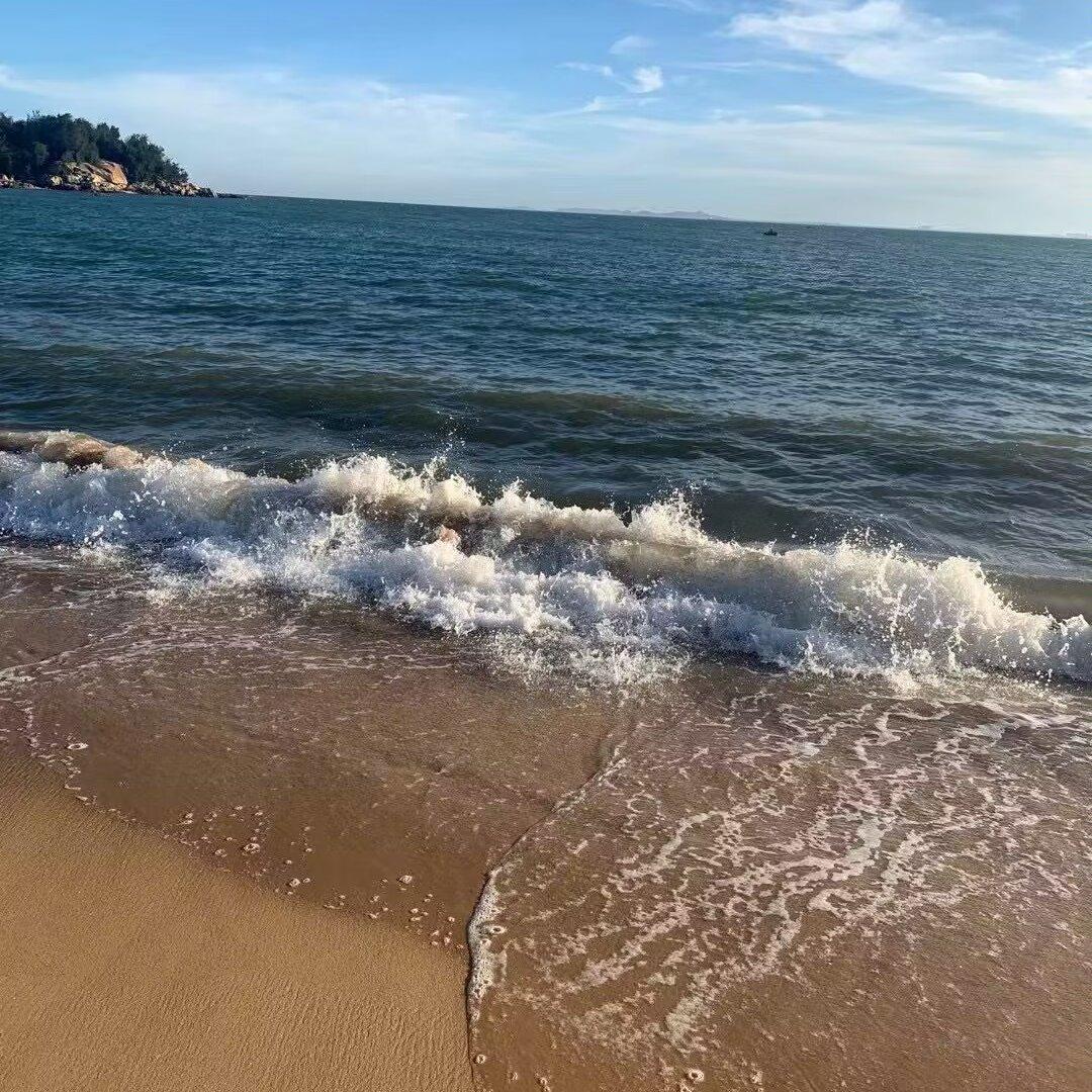海边的风封面