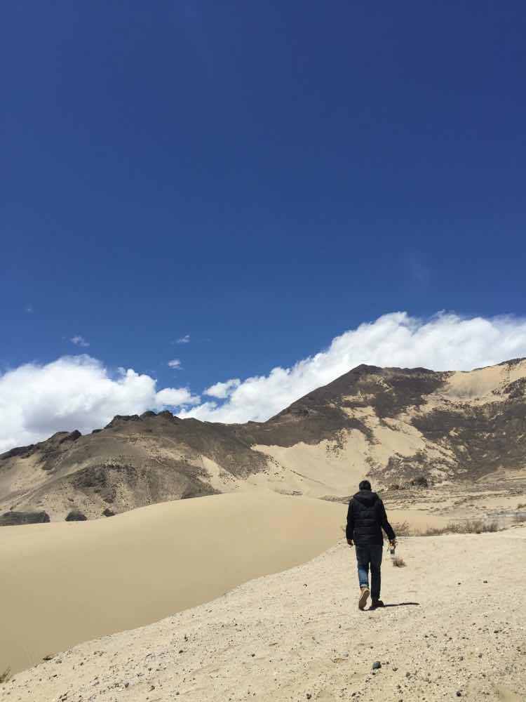 DYCOSTER小小小毅毅