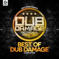 Best Of Dub Damage