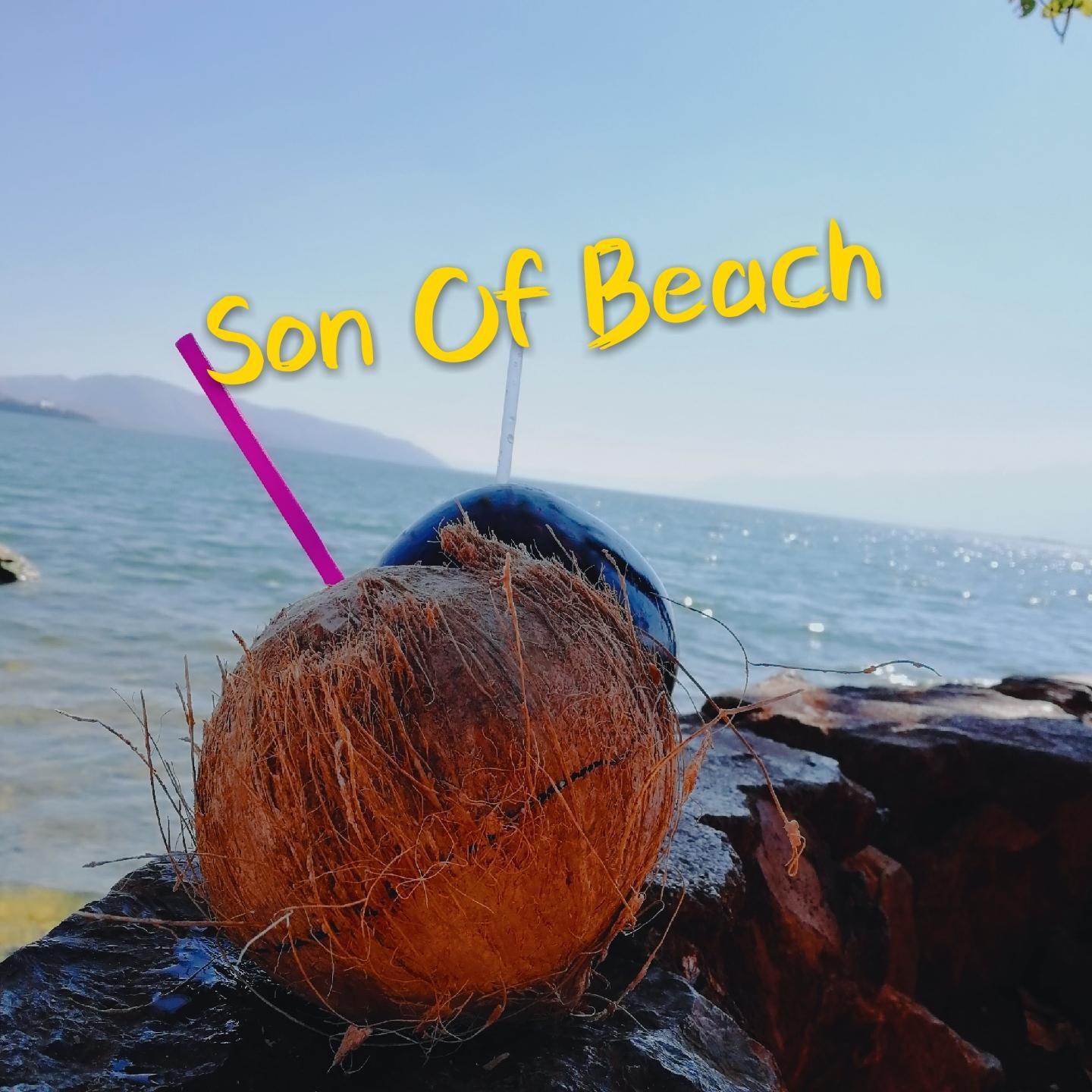 Son Of Beach