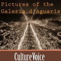 CultureVoice