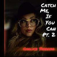 Catch Me, If You Can, Pt. 2 (feat. Beatslaya)