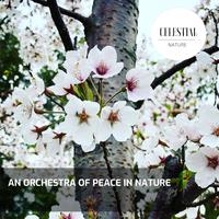 An Orchestra of Peace in Nature