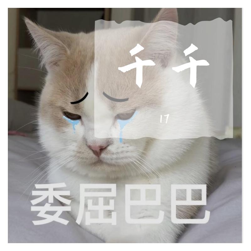 随心所欲封面