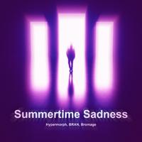 Summertime Sadness (Techno Version)