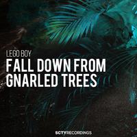 Fall Down from Gnarled Trees