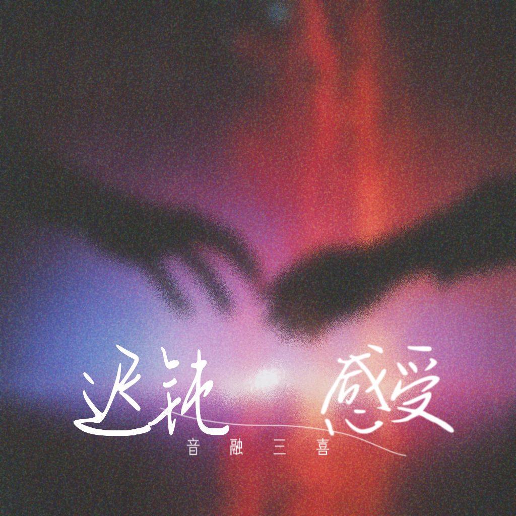 迟钝感受（纯伴奏） - 音融三喜封面