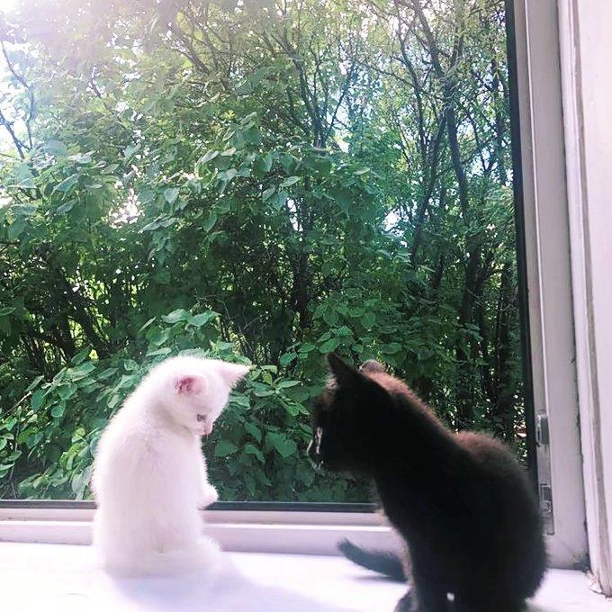 悲惨世界难受的