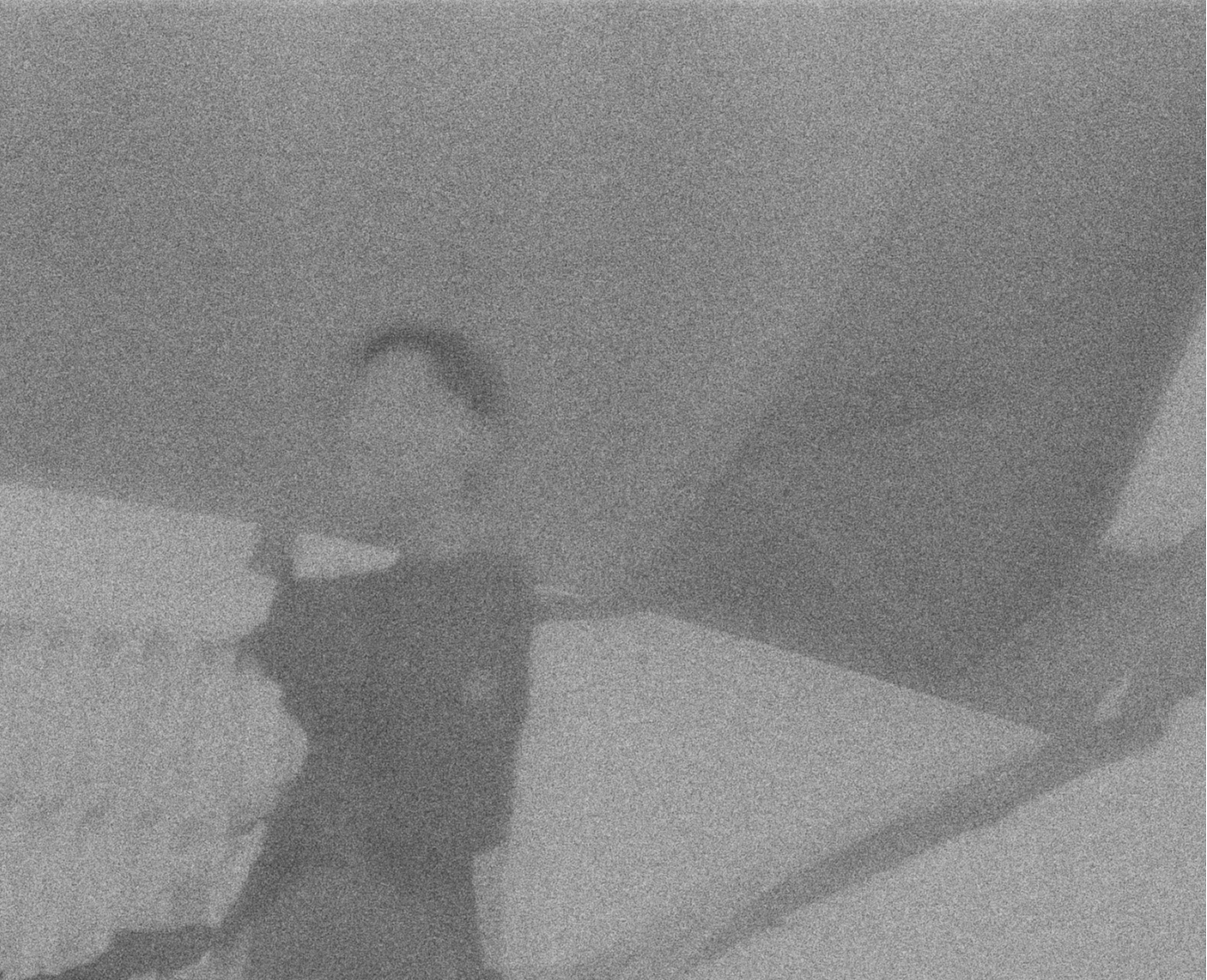 陳嫺靜