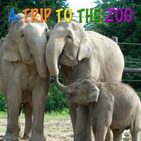 A Trip To The Zoo