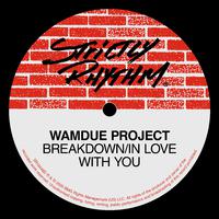 Breakdown/In Love With You (Remixes)