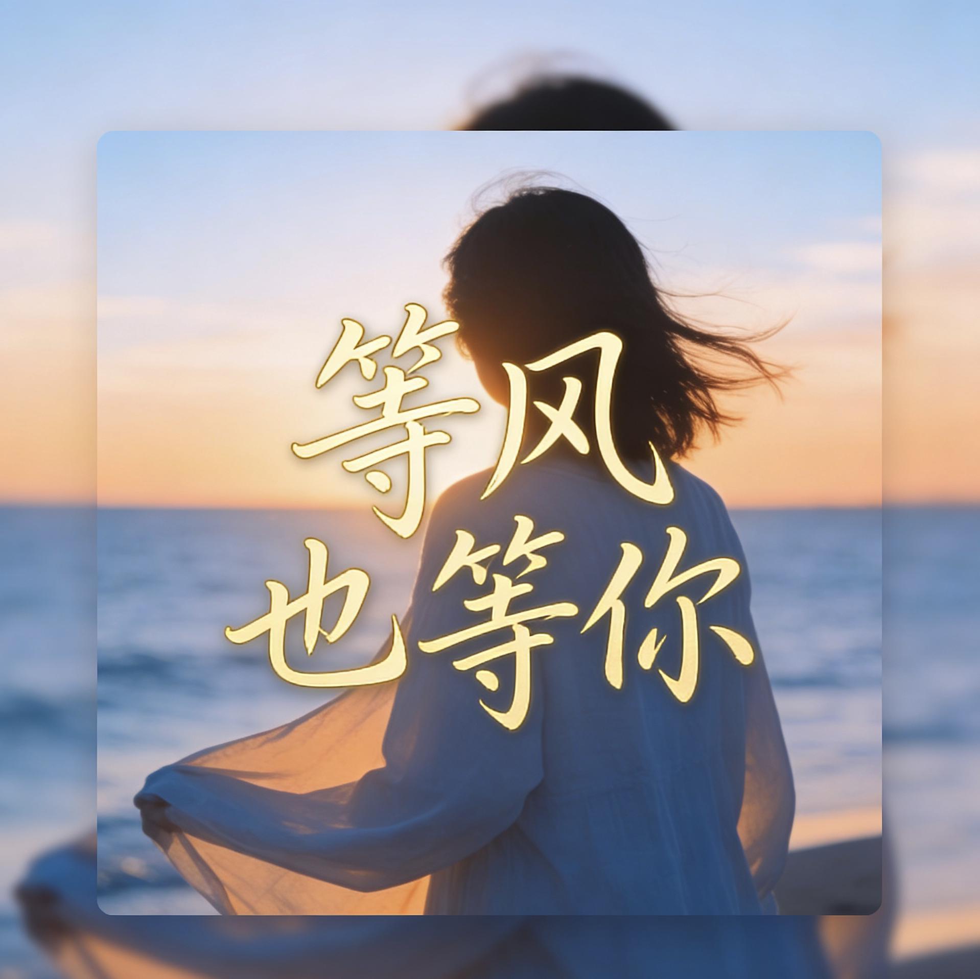 等风也等你伴奏封面