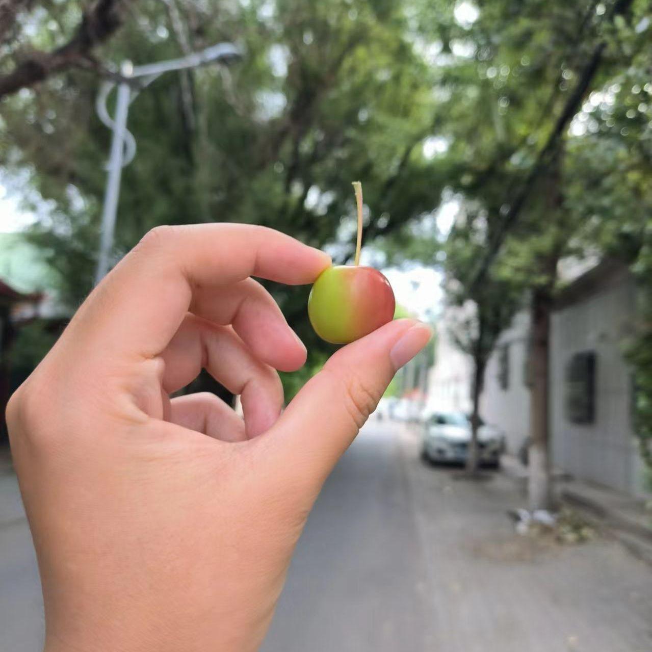 预言石封面