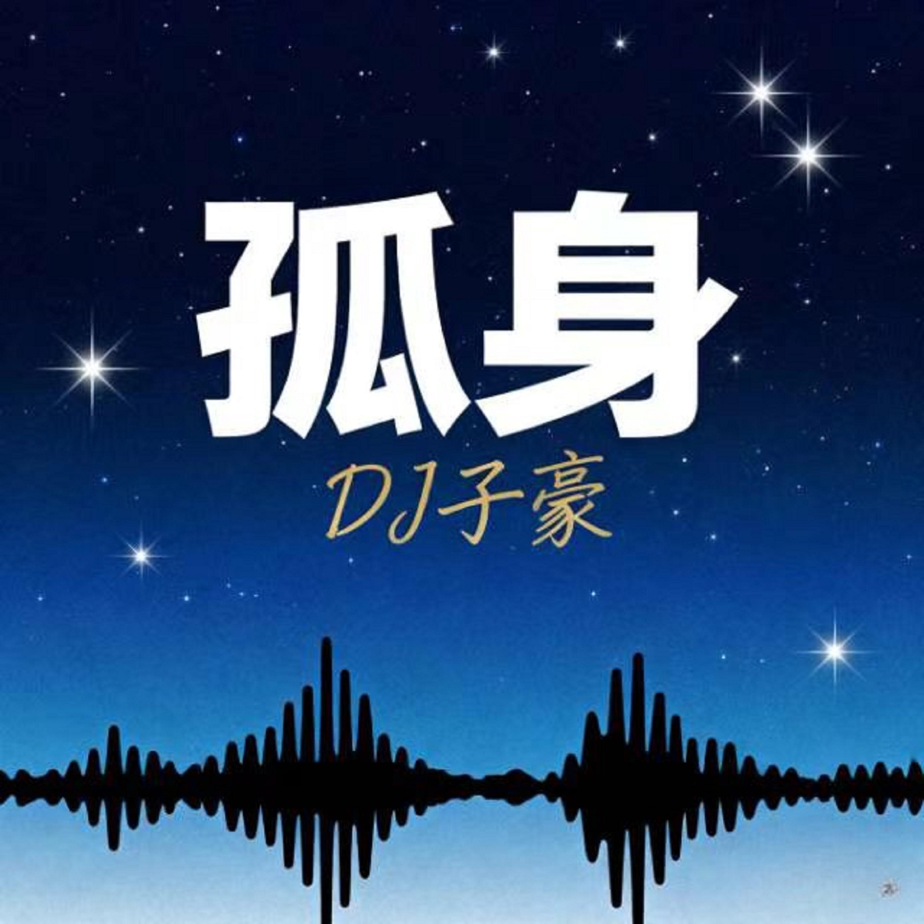 孤身 (DJ版)封面