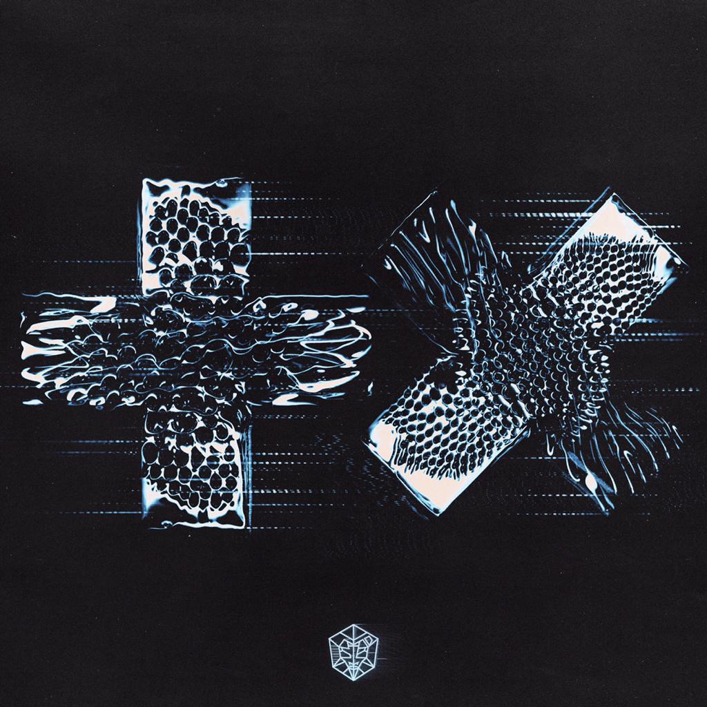 Martin Garrix - VAC 2024 珠海现场