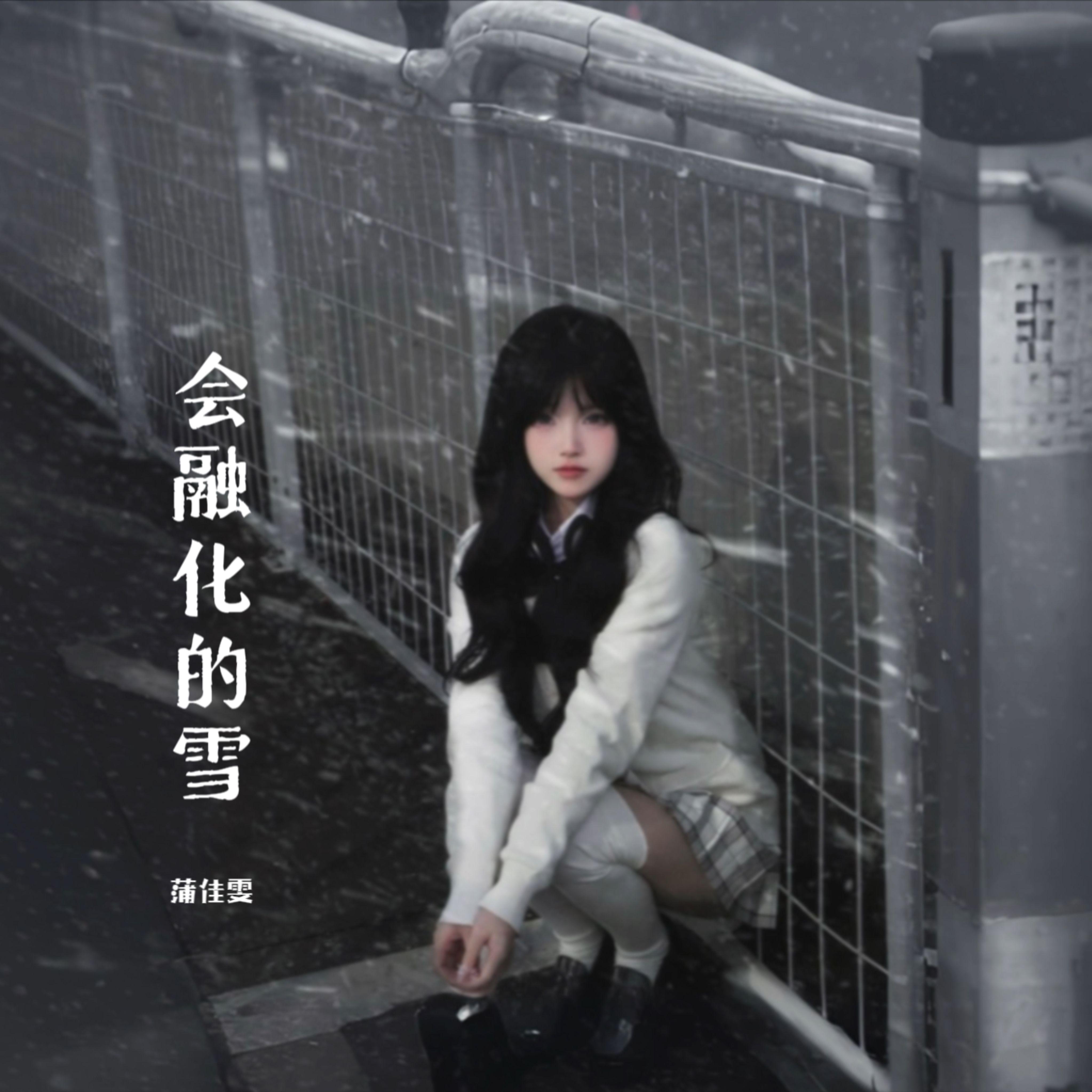 会融化的雪封面