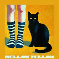 Mellow Yellow (The Purrfect Blend)