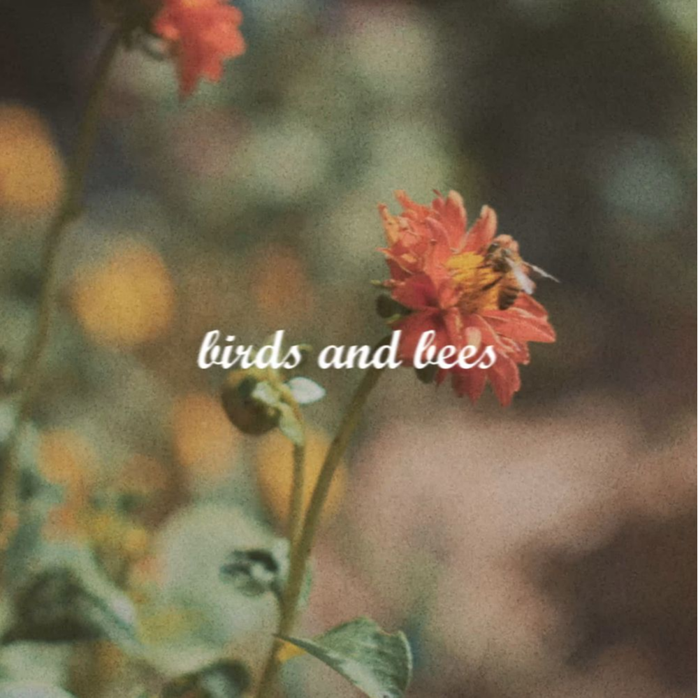 birds and bees