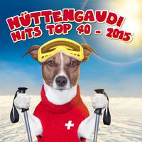 Hüttengaudi Hits Top 40 - 2015