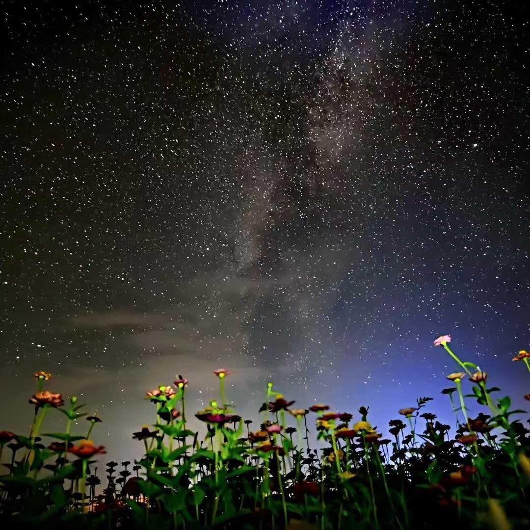 孙宇洋-kason喜欢的音乐