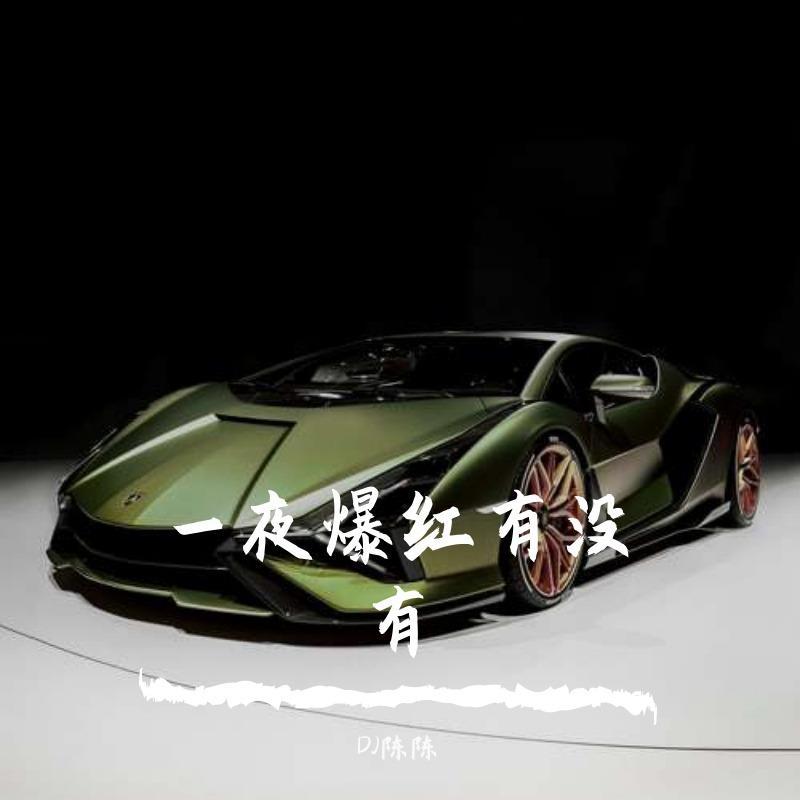 彭家丽-《从不喜欢孤单一个》(mcyy)（DJ陈陈 remix）封面