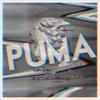 YARUI - PUMA