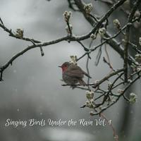 Singing Birds Under the Rain Vol. 1