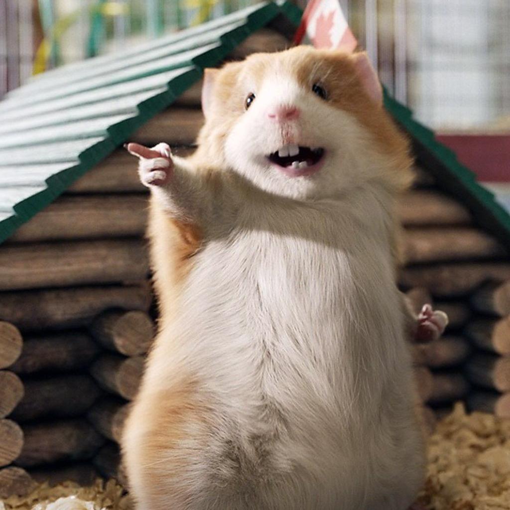 99%的人没听过的神曲