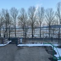 陶陶5353资料,陶陶5353最新歌曲,陶陶5353MV视频,陶陶5353音乐专辑,陶陶5353好听的歌