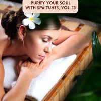 Purify Your Soul with Spa Tunes, Vol. 13