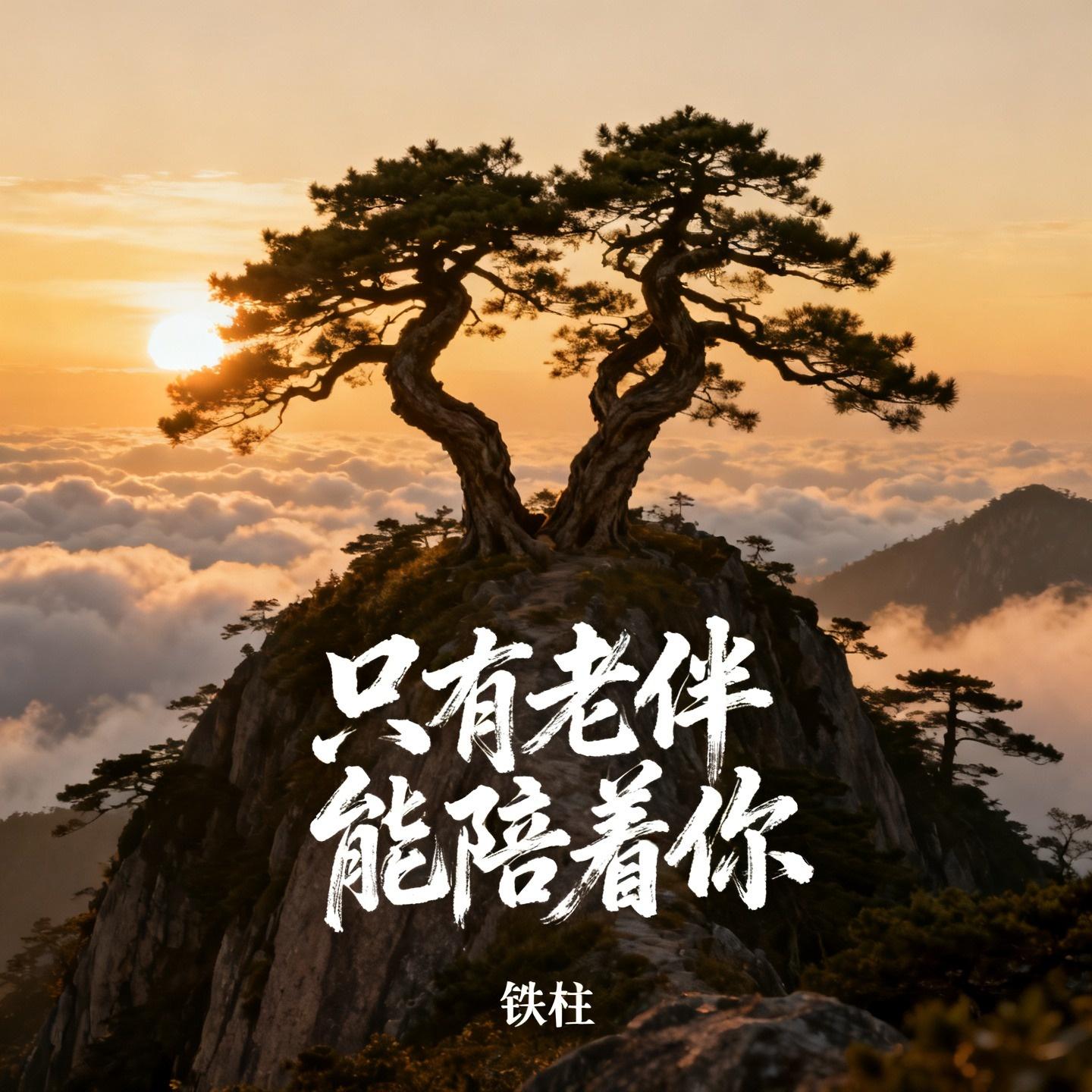 只有老伴能陪着你封面