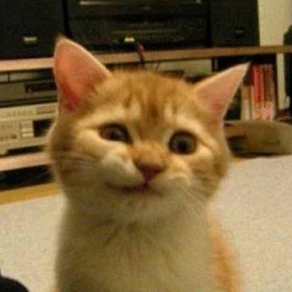 用什么昵称做昵称呢