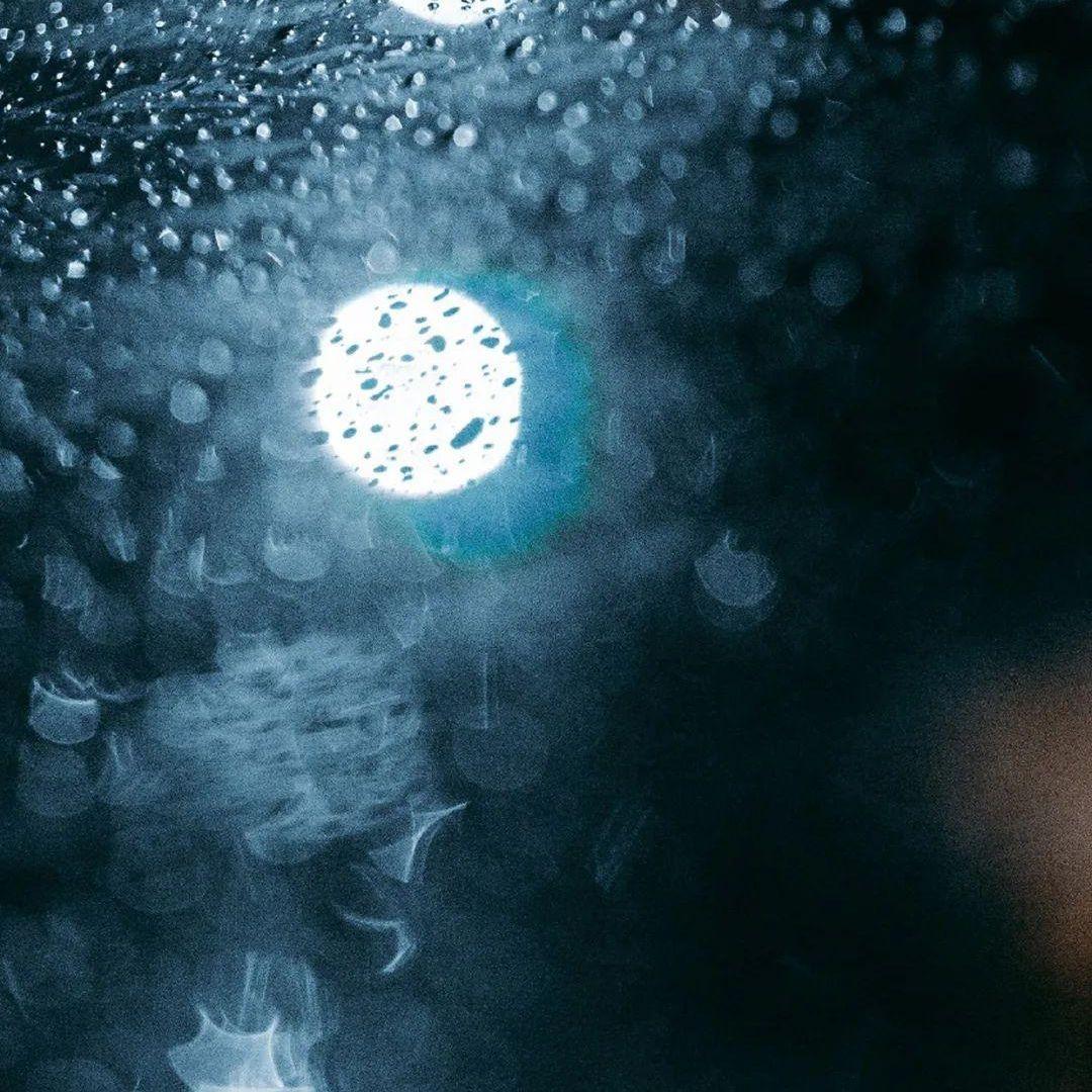 雨中的旋律封面