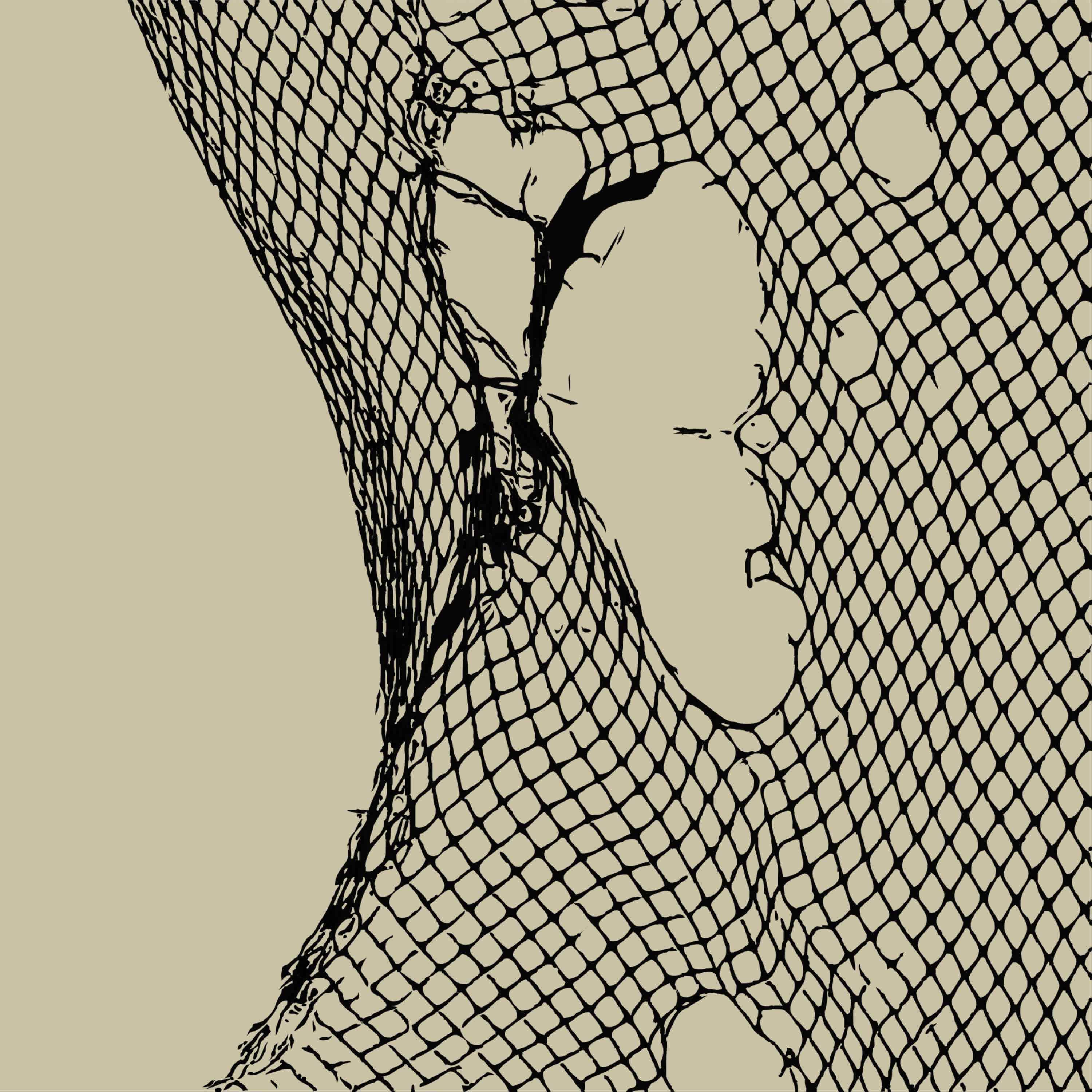 Solidification (Original Mix)