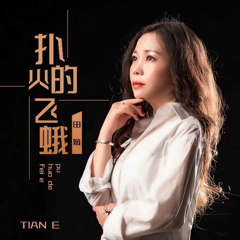 扑火的飞蛾 (DJ默涵版)封面