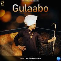 Gulaabo - Single