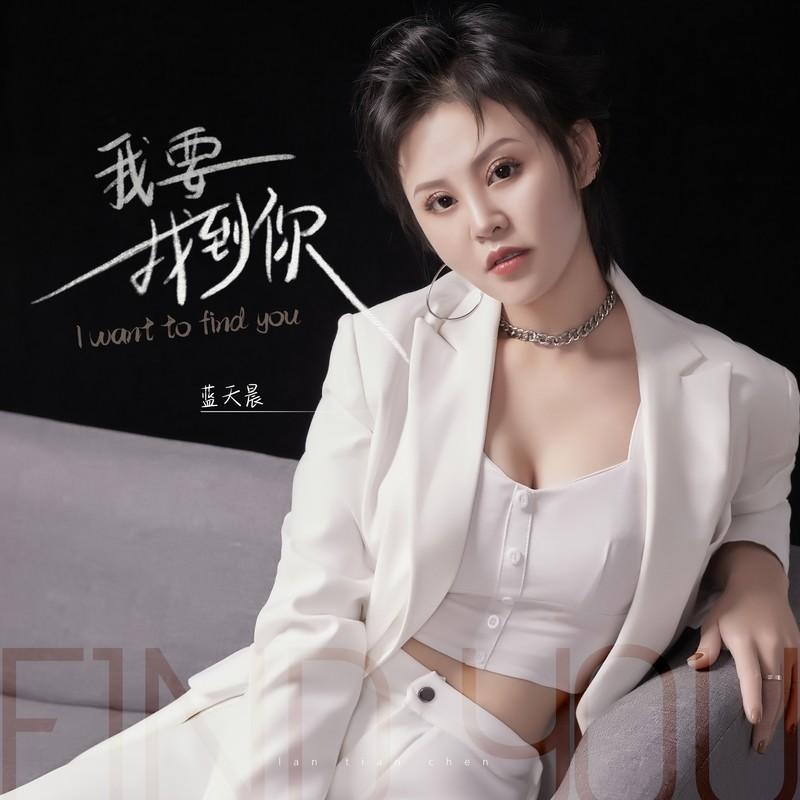 我要找到你(DJ版)封面