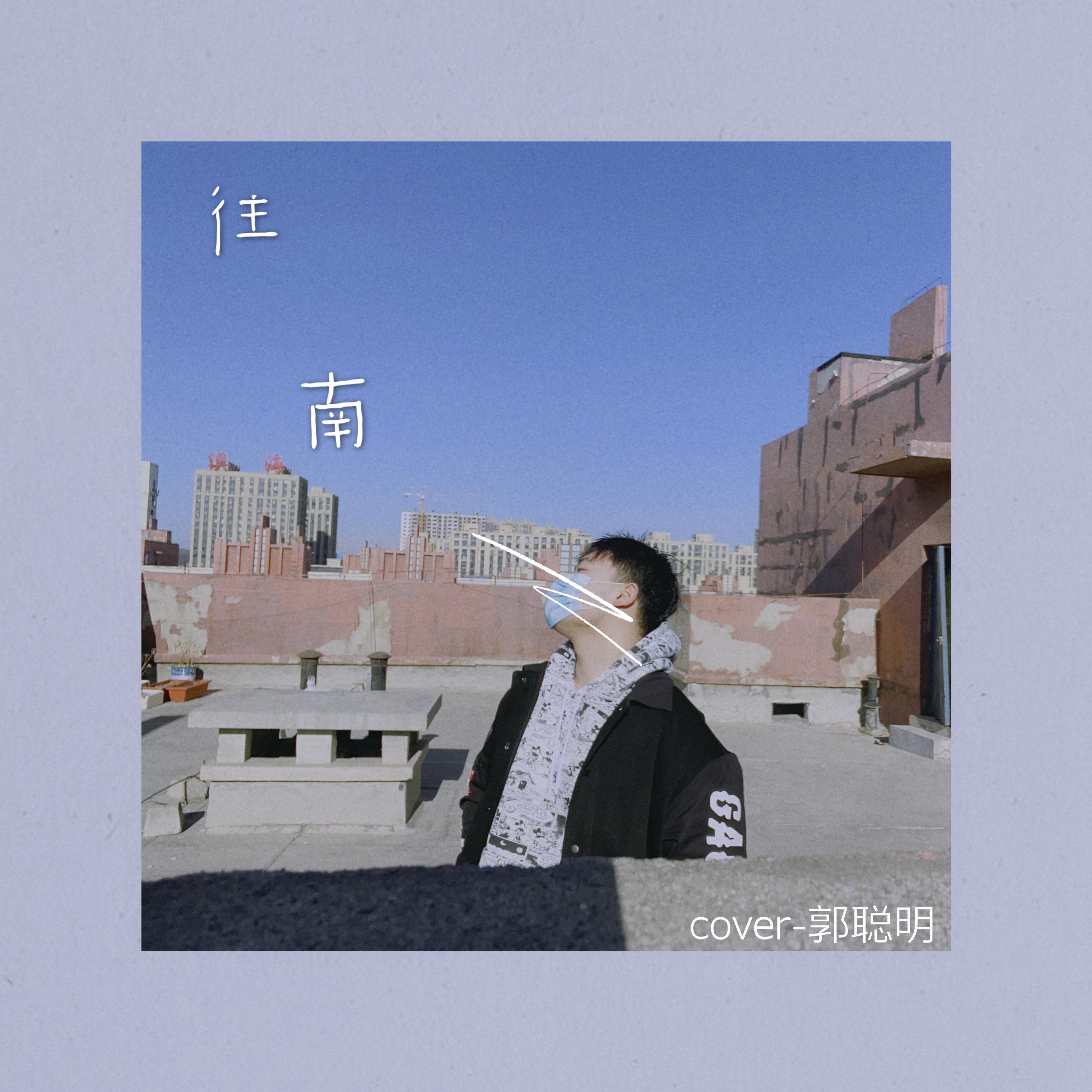 往南封面