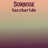 Sorbose Saccharide