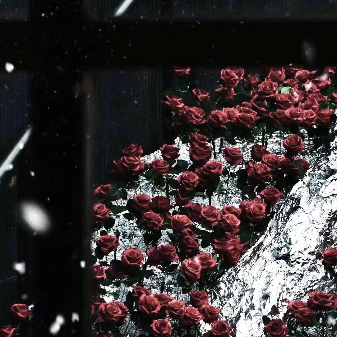 讲话是闭嘴的时候