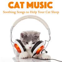 Cat Music: Soothing Songs to Help Your Cat Sleep