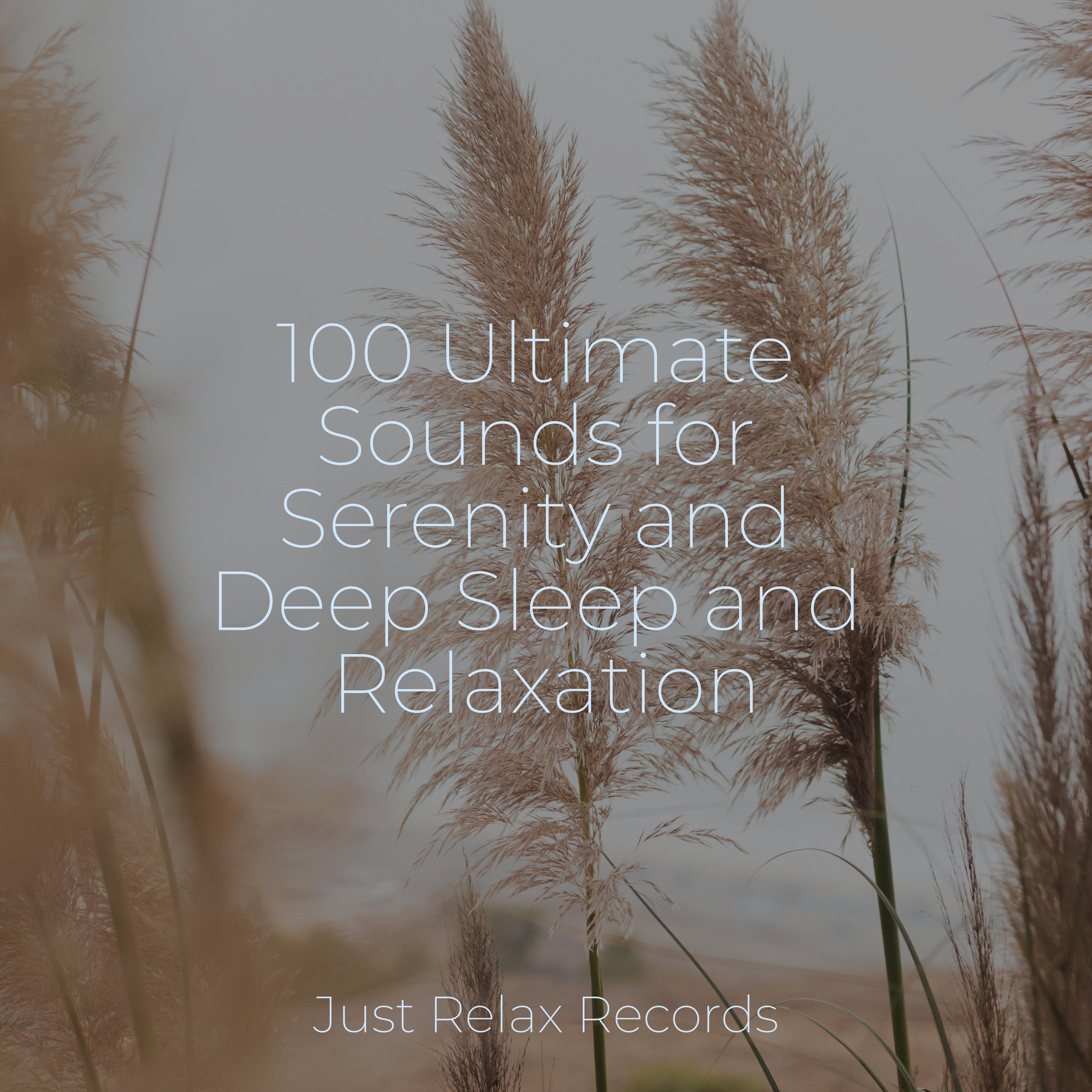 100 Ultimate Sounds For Serenity And Deep Sleep And Relaxation