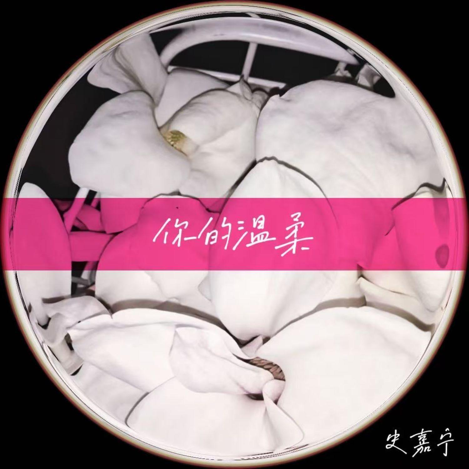 你的温柔 - 史嘉宁封面