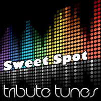 Sweet Spot (Instrumental Tribute to Flo Rida feat. Jennifer Lopez)