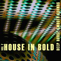 House in Bold, Vol. 7